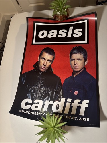 Oasis live official - live, tour