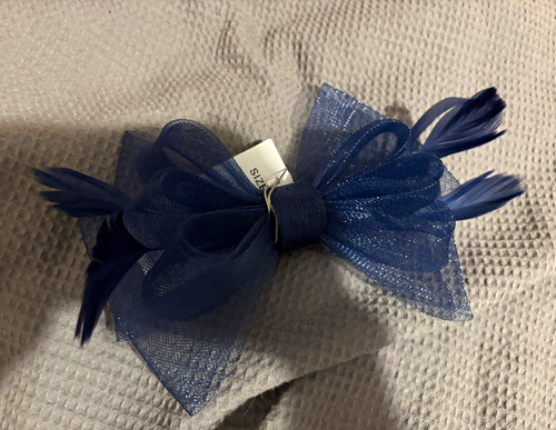 Quiz blue mesh bow feather - quiz,