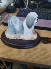 LHASA APSO GREY/ WHITE - BEST