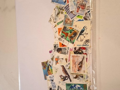 100 different birds - 100, of