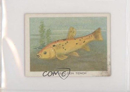1923 itc canada birds - of,