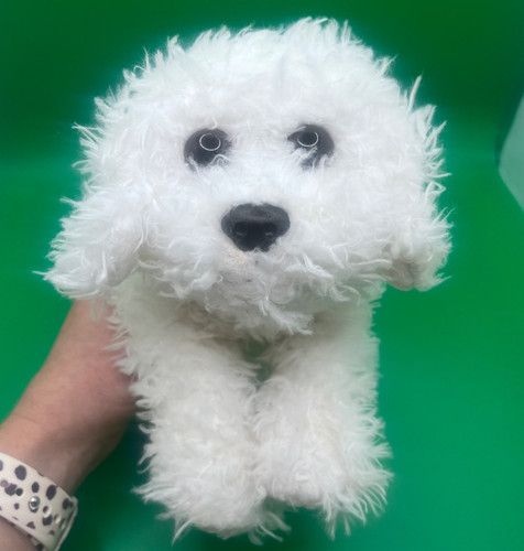 Toys animal alley dog - us,