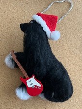 BLACK/WHITE  AFGHAN HOUND