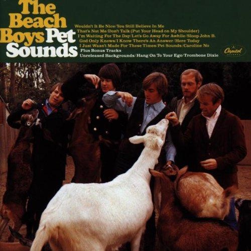 Pet sounds the beach - sounds,