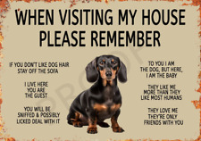 Funny Dog Dachshund Metal Sign