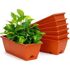 Bamworld 7 Pcs Window Box