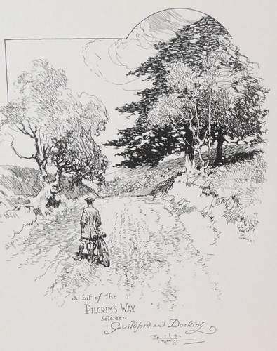 Pilgrims way guildford dorking - way,