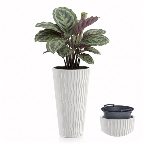 Tall white plant - white,