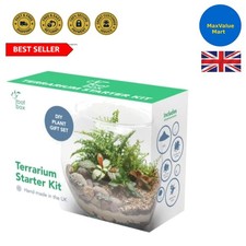 Unique Large Terrarium Kit with Multilingual Care Guide for Ultimate Gardening