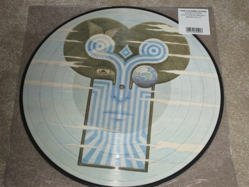 The chameleons what does - chameleons,
