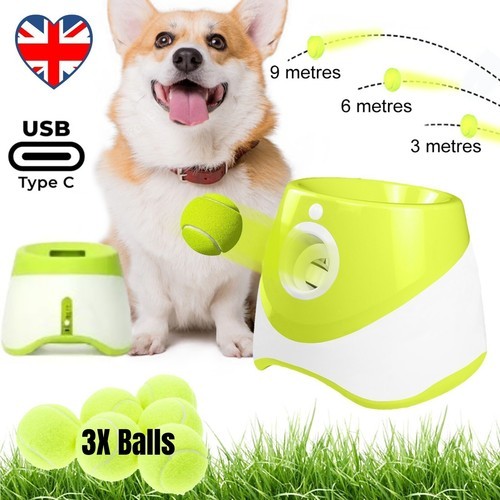 Dog automatic ball launcher - automatic,
