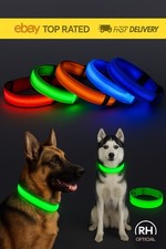 USB Rechargeable LED Pet Dog