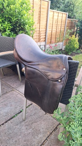 Show saddle stubben - saddle,