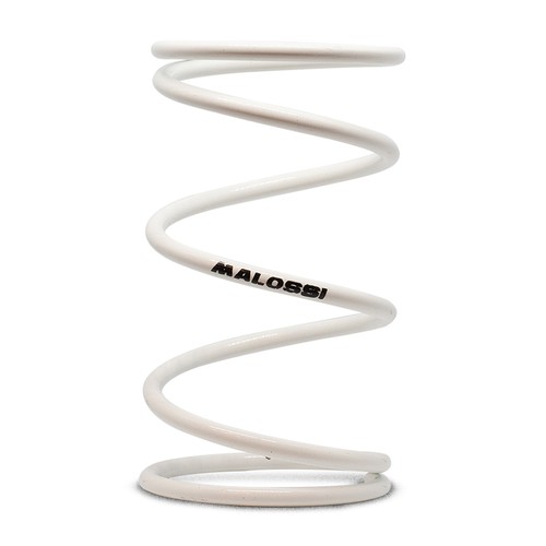 Malossi white clutch - malossi,