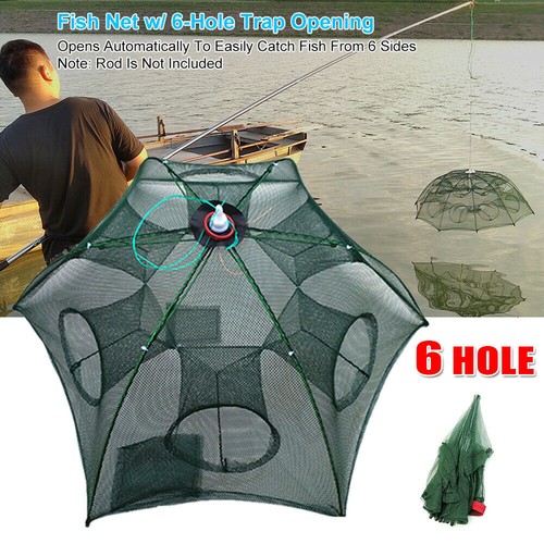 Holes fishing net fish crab - fishing,