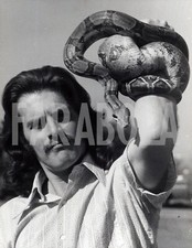 Vintage Press Photo Animals
