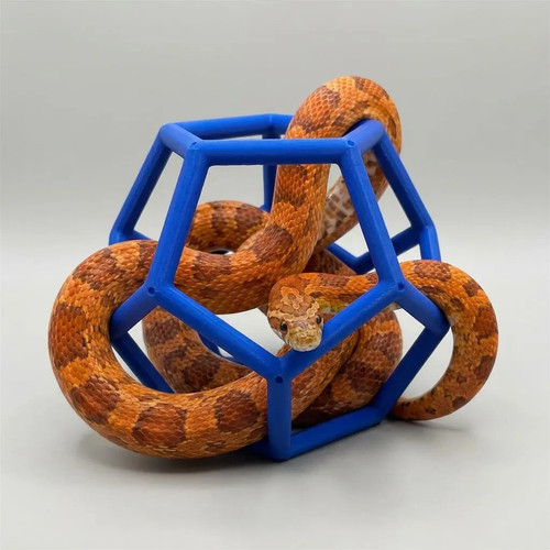Snake jungle gym - gym,, reptile