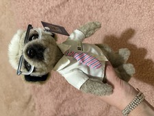 Sergei meerkat soft - meerkat,