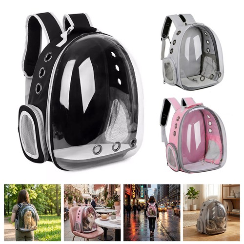 Astronaut window dog cat - astronaut,
