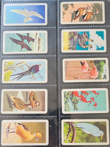 Brooke bond canada tropical - canada,