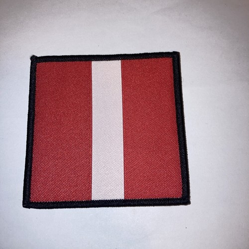 1st battalion the - 1st, of