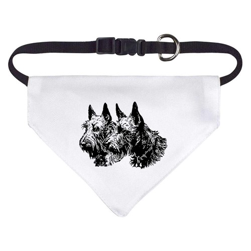 Scottish terrier couple dog - 'scottish,