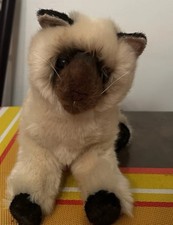 Douglas the Cuddle  Tasha