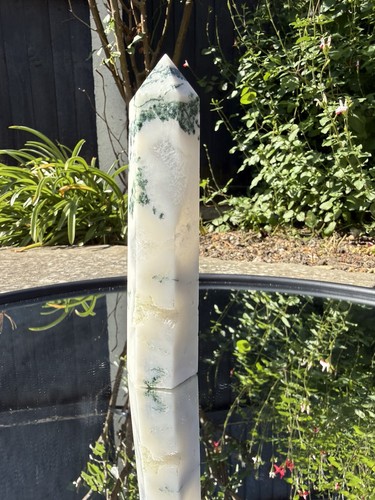 Scenic moss tree agate - scenic,