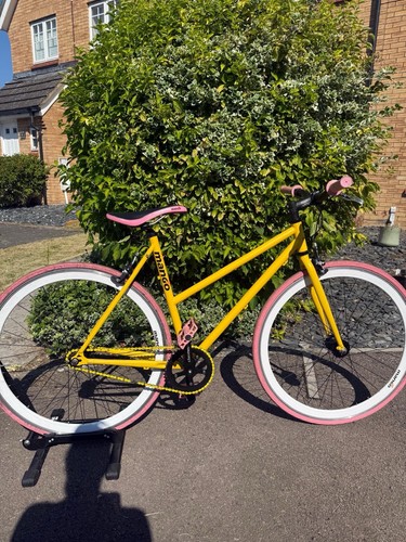Custom mango single speed - mango,