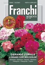 Franchi - FDBF_S 327-2 -