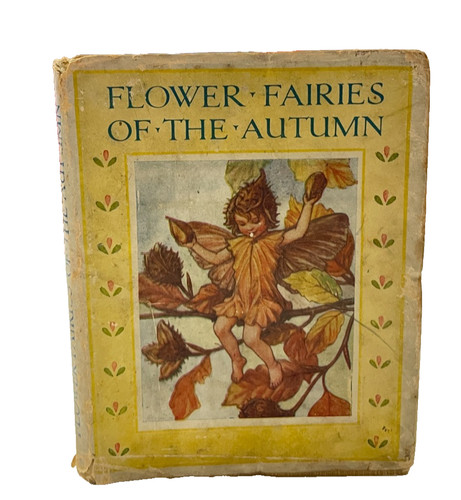 Flower fairies the - of, autumn