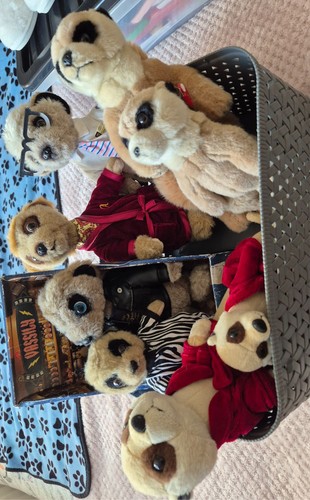 Meerkat soft toy bundle just - 8,