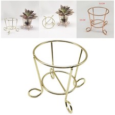 5 Pieces Air Plant Holder