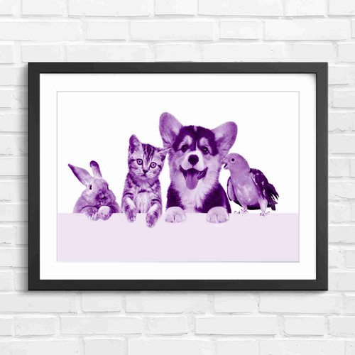 Adorable puppy kitten rabbit - adorable,