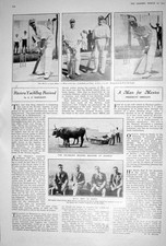 Old 1923 Ox-Drawn Mowing