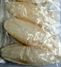 3 X CUTTLEFISH BONES 5-6" IDEAL FOR SNAILS SMALL BIRDS TORTOISES TURTLES