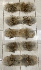 Authentic Coyote Trim Fur - For NEW SEASON Canada Goose Jackets - Lowest on eBay