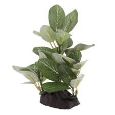 Terrarium Plant Bearded Dragons,Lizards,Geckos,Snake Reptile Habitat Type_2.