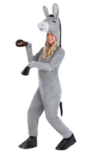 Donkey costume from shrek - from, size