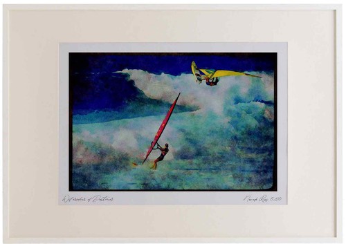 Sailing 339054 neill cup - sailing,