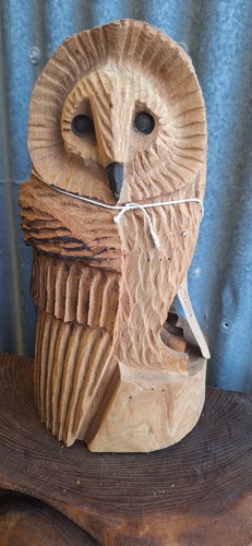 Chainsaw carving owl - chainsaw, wood
