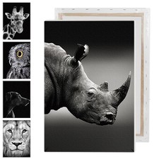 Printed Animal Series Artwork