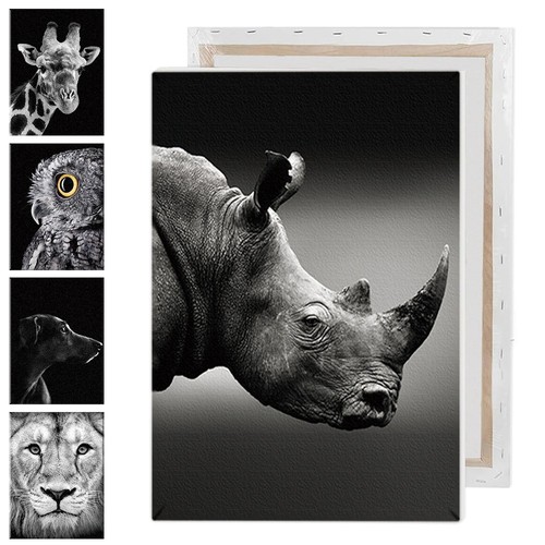Printed animal series artwork - series,