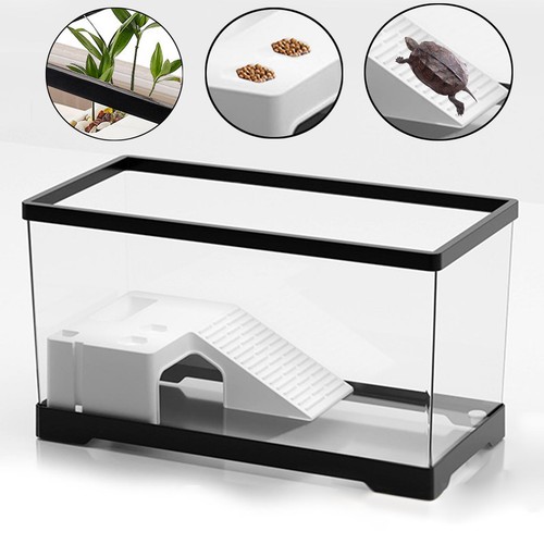 Turtle tank accessories box - turtle,