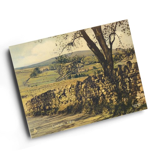 Print vintage cumberland - print,