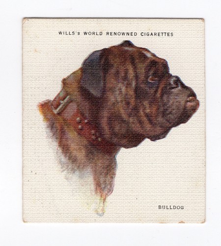 Wills world renowned - wills,