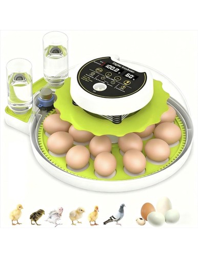Digital egg incubator - digital,