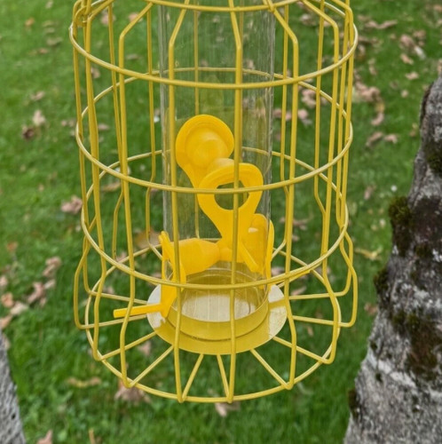 Hanging squirrel proof seed - squirrel,
