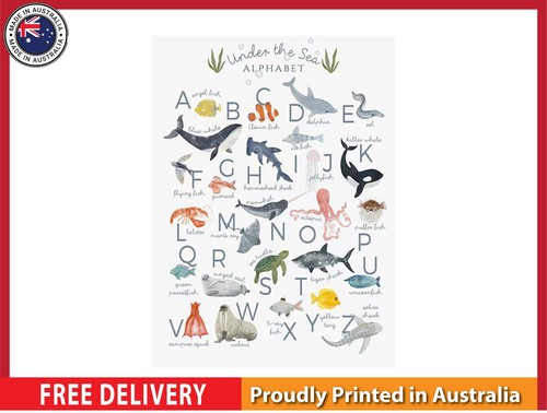 New sea animals - new, (laminated)