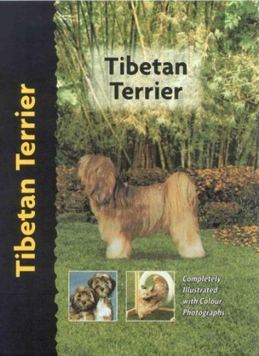 Tibetan terrier pet - tibetan,